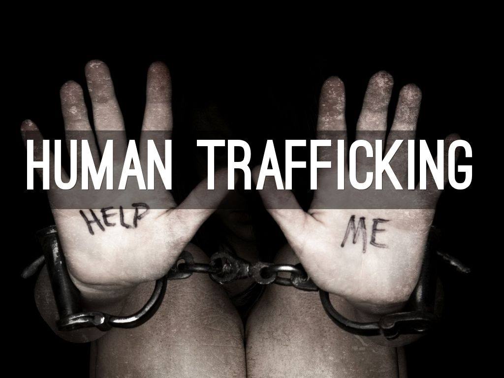 emberkereskedelem